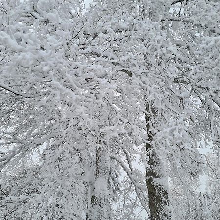 Apartament Bergbutzen Mit Balkon Braunlage Zewnętrze zdjęcie